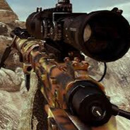 Fall Camo Intervention