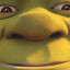 This is my swamp