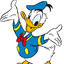 Donald the Duck