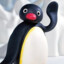 Mr.Pengu