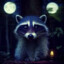 Mystic_Raccoon_721