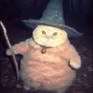 sick ass wizard cat