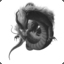 Black Dragon$