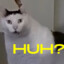 huh?