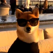 我是开心超人一开心我就乱超人