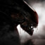 XenoMorph