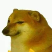 Nhà-tôi-3-đời-rush-nGu