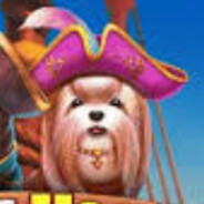 SOLO | 饺子 - steam id 76561199700662761