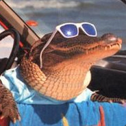 Alligator Dreams