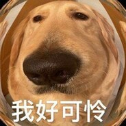 确切点说看灰机