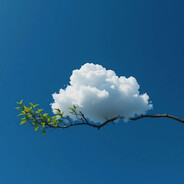 phat - steam id 76561199888147852