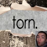 Torn (>NUTTER<)