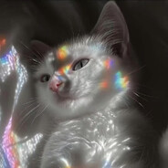 春风若有怜花意