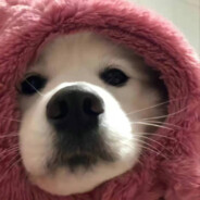 还会相爱嘛我们