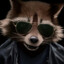 ☜❶☞RaCCoon☜❶☞