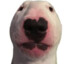 Coleslob