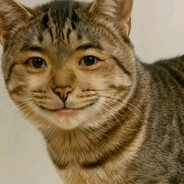 Lud1ckwig.mewoyan.Zhang