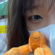 乌鸦为什么像写字台