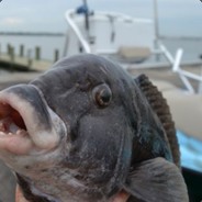 Snowball631