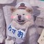 瑞瑞萌萌哒