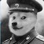 Mao ze Doge