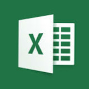 Microsoft Excel