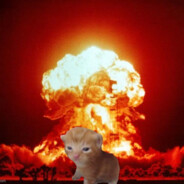 nukecat:D