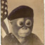 Sgt. monkey