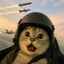 meowverick