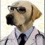 DOGTOR