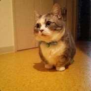 535364412