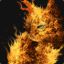 MY CAT IS ON FIRE