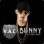 VAC BUNNY