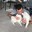 kian.zarrin