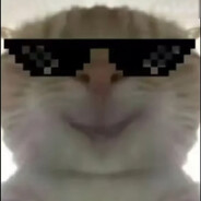 行天之道，总司一切