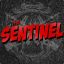 SentineL ™ # Road2Silver