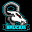 Brucius