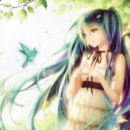 陨石天坑会会长