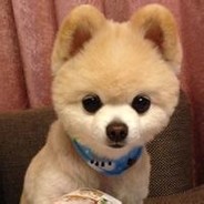 ✌鸟狙转起来别眨眼睛