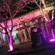 我是一匹预言家