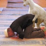 InGame - steam id 76561197961338685