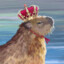 The Capybara King