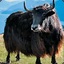 Kaydam