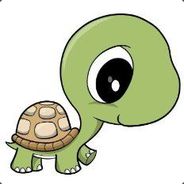 Turtle avatar