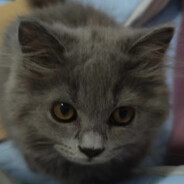 爆炒波比之我是南通超