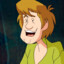 Shaggy