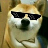 【SVIP】祖安文举状元