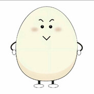 山茶花读不懂白玫瑰