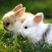 冒汽泡的桔子水