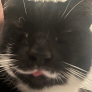 ŦØ爪